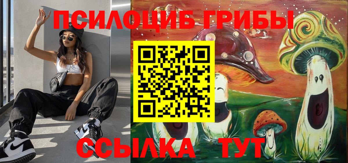 Галлюциногенные грибы Psilocybe  Псилоцибиновые грибы ЛСД  где купить наркоту  Новотроицк  Вход с VPN 